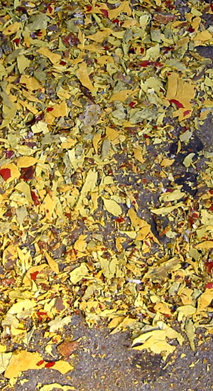 paint chips YUM!