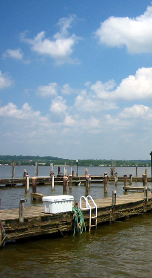 one day out of the blue, i went to old town alexandria.